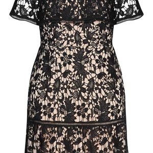 City Chic | Dresses | Black Lace Cocktail Dress | Poshmark